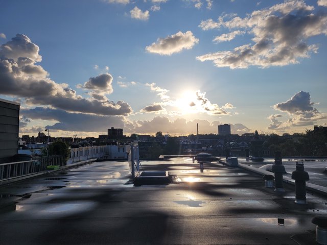 Regenwater opvangen bij een bedrijfspand: welke mogelijkheden zijn er?