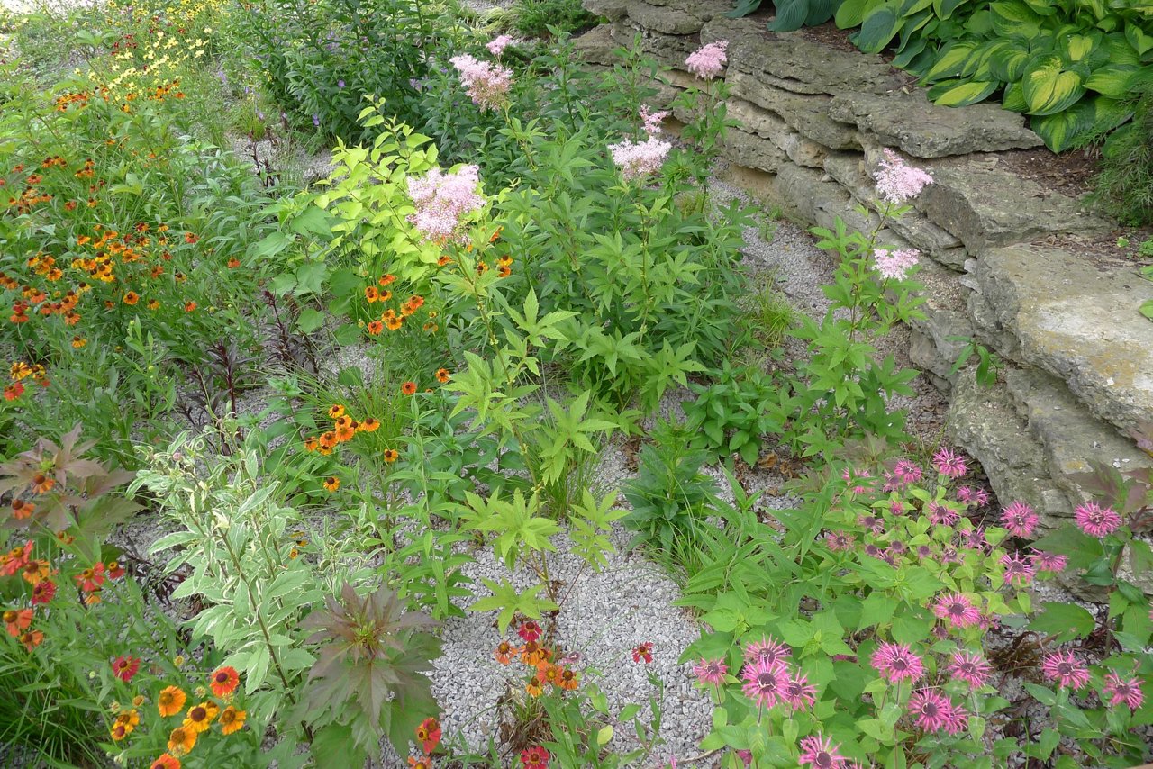 Infiltratiesysteem en uw bloemen en planten