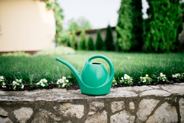 Slim regenwater opvangen in een kleine tuin